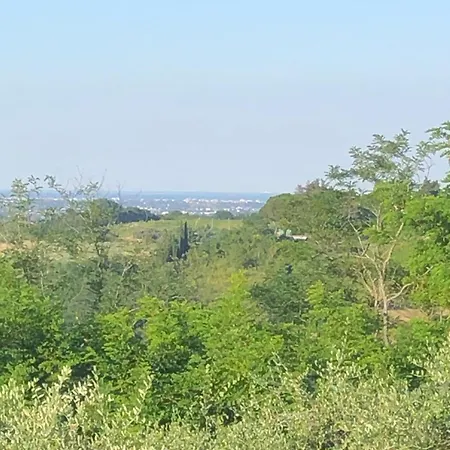 Oda ve Kahvaltı Colle Paradiso Cesena