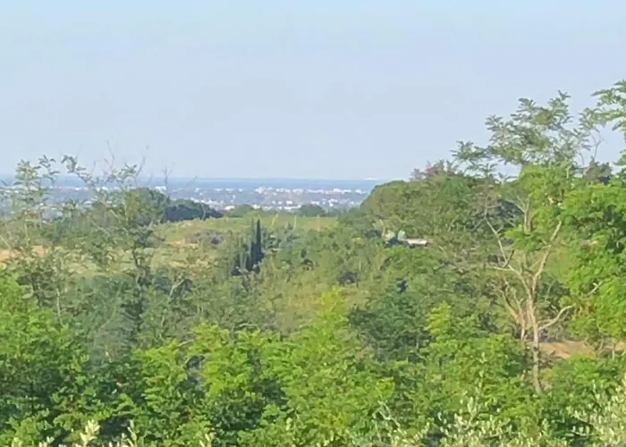 فندق مبيت وإفطار Colle Paradiso تشيزينا